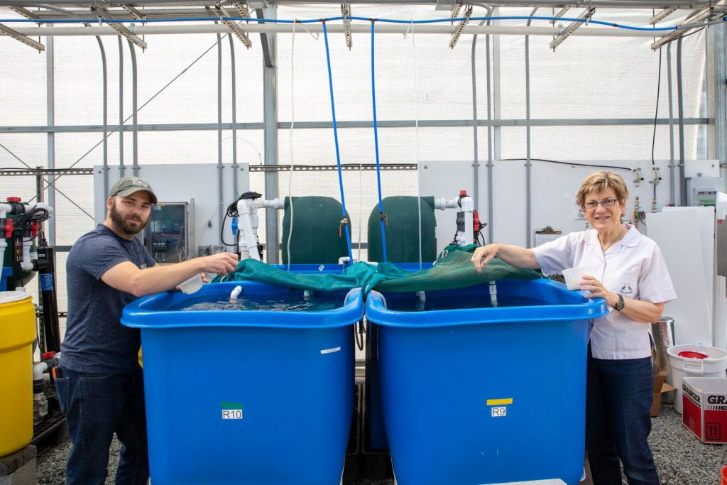 The three F's of digestibility trials! Feeding, fun, and fecal collection! Special thanks to Carolyn Lagattuta for these stunning shots of the greenhouse in action.